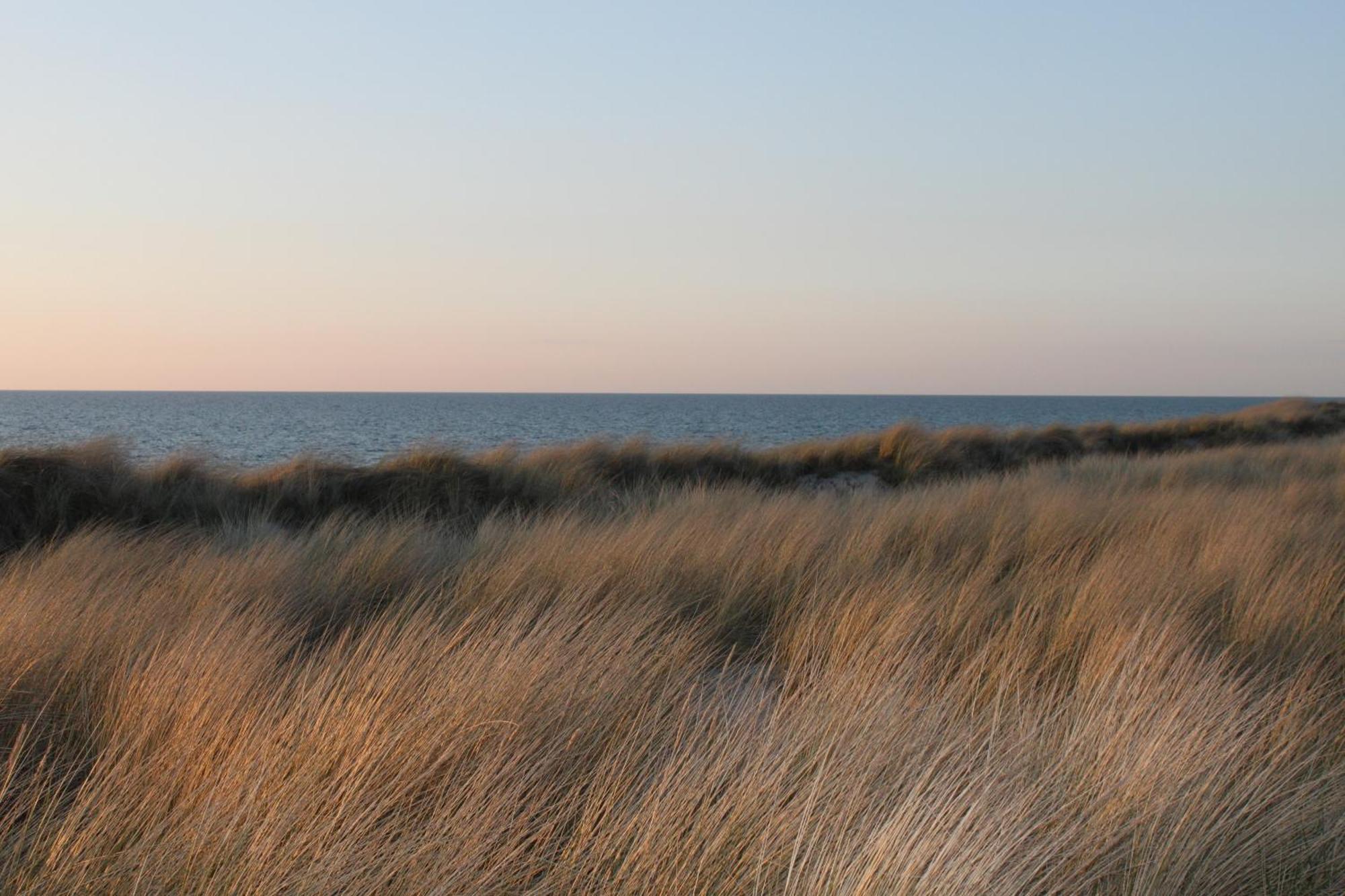 -"Strandhaus Friedrich"- Дирхаген Екстериор снимка