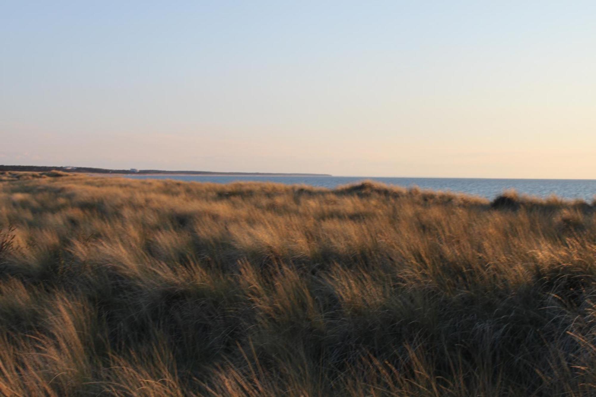 -"Strandhaus Friedrich"- Дирхаген Екстериор снимка